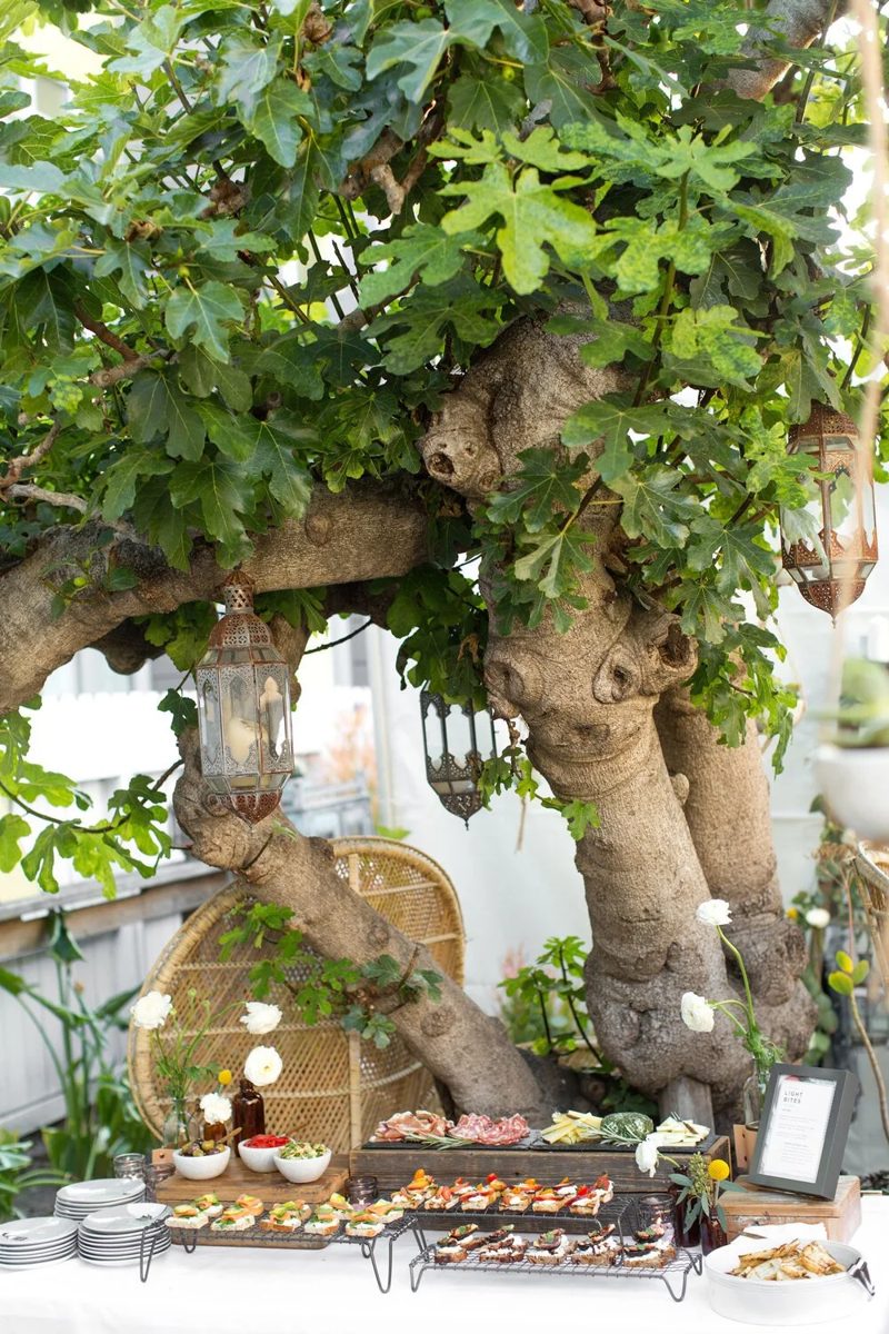 Urban Palate garden tablescape under a fig tree